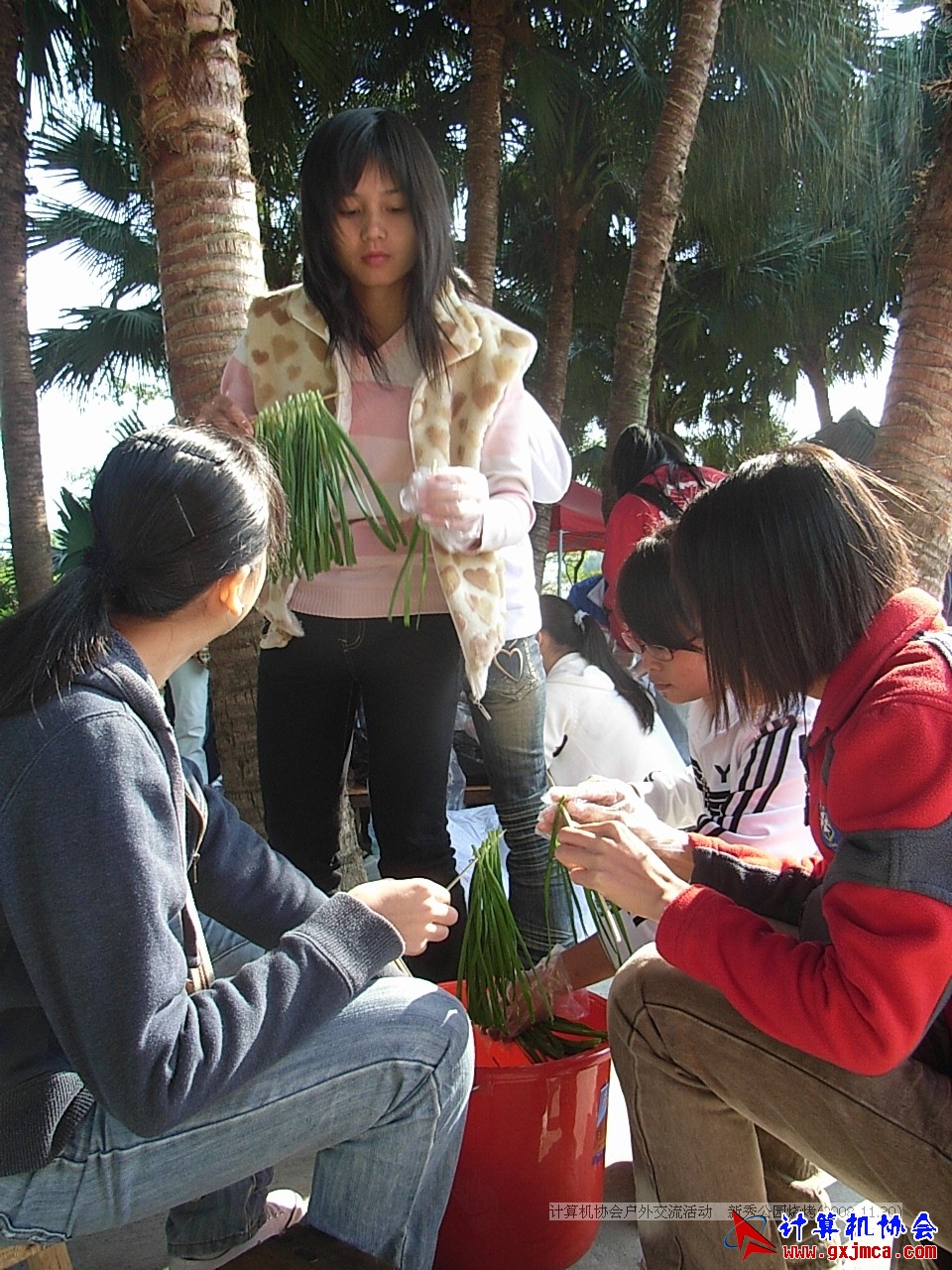 081130CA0758.JPG