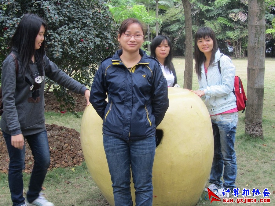 111201ca015.JPG