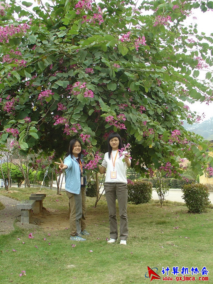 051202CA084.JPG