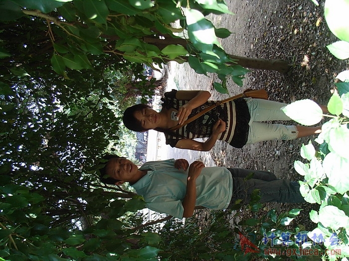 071029XCB110.jpg