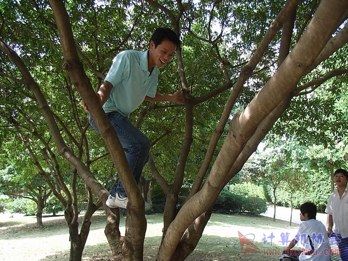 071029XCB119.jpg
