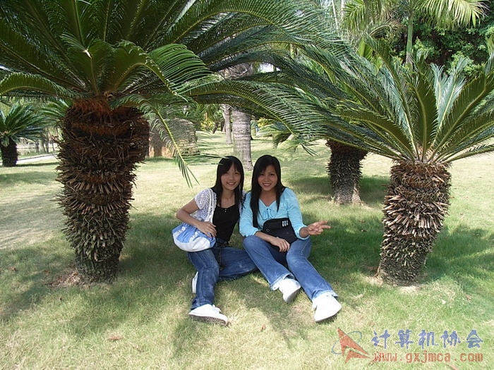 071029XCB135.jpg
