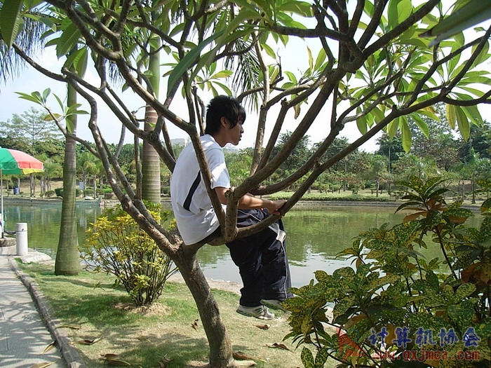 071029XCB138.jpg