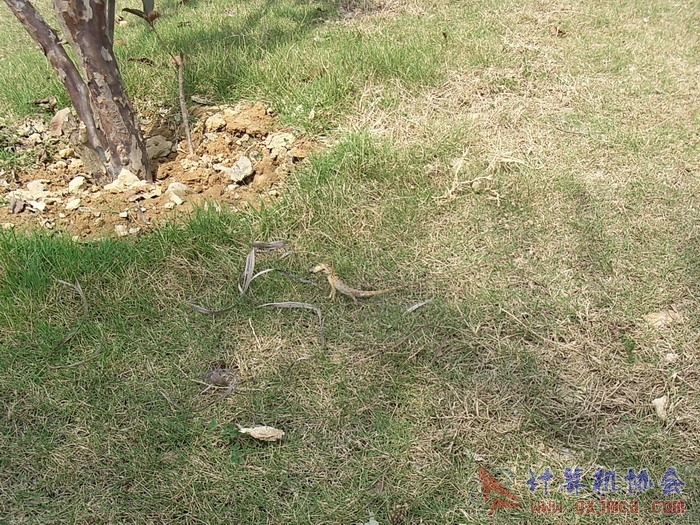 071029XCB146.jpg