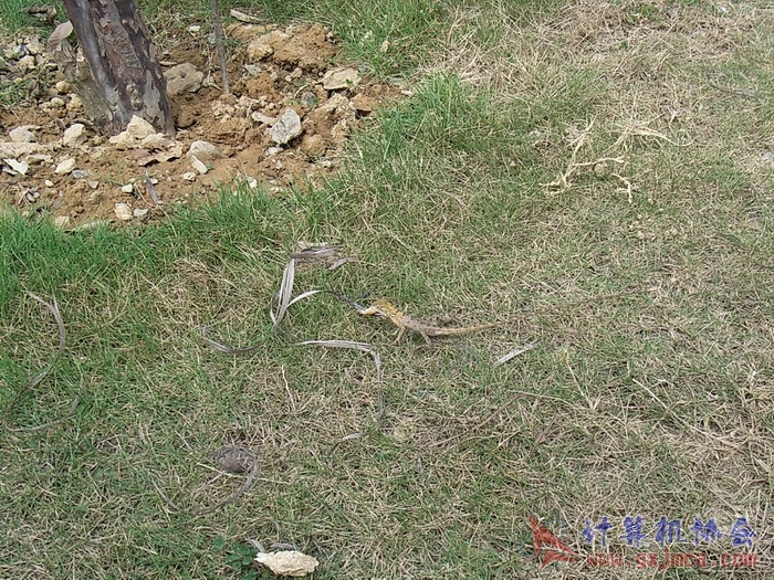 071029XCB147.jpg