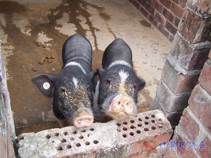 蚂蚁山庄照片 004.jpg