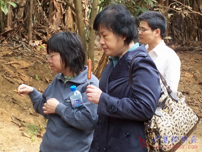 蚂蚁山庄照片 015.jpg