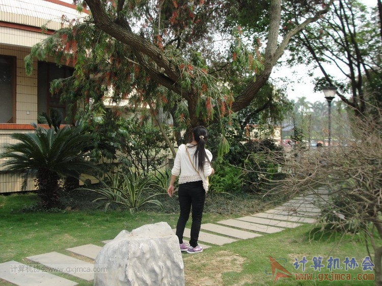 20130324xcb170.JPG