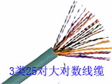3类25对大对数线缆.jpg
