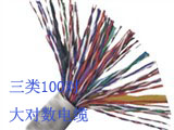 三类100对大对数电缆.jpg