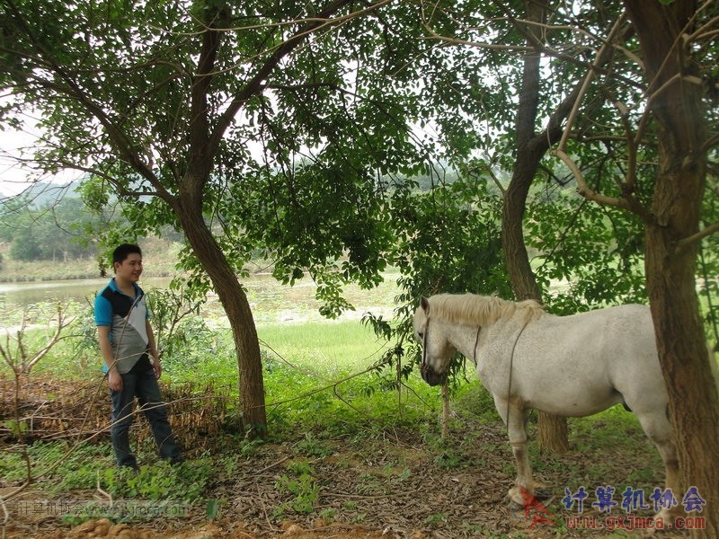 130420wlb205.JPG