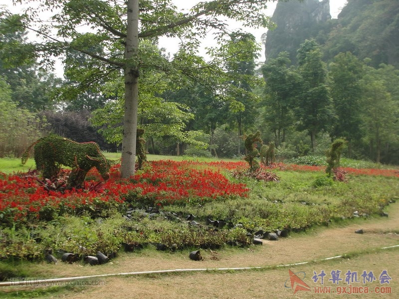 130420wlb241.JPG