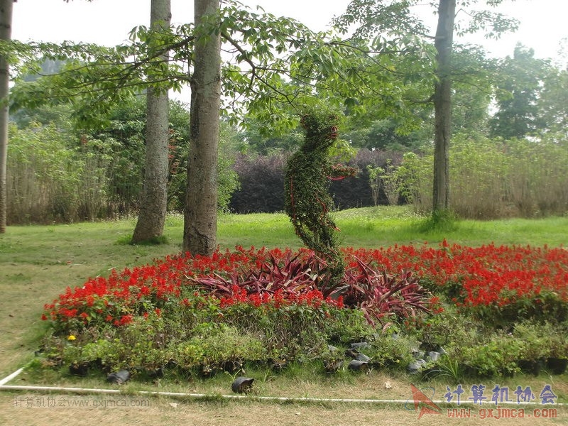 130420wlb242.JPG