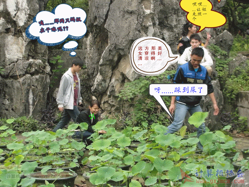 作业2.gif