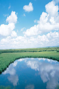 素材3.jpg
