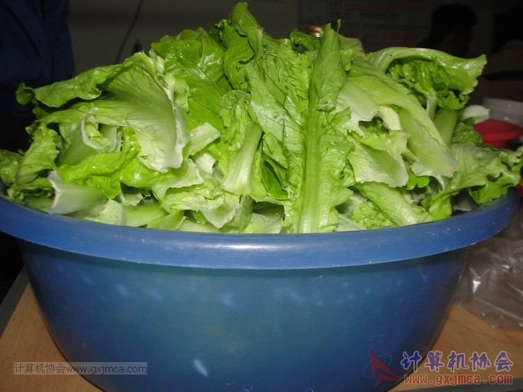 131206kg26.JPG
