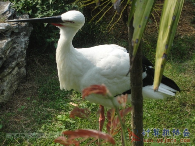 131208yw20.JPG