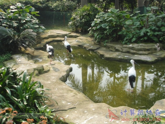 131208yw21.JPG