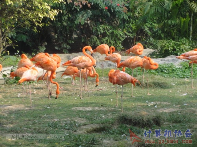131208yw28.JPG