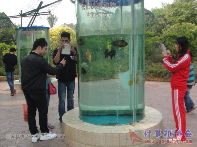 131208yw33.JPG