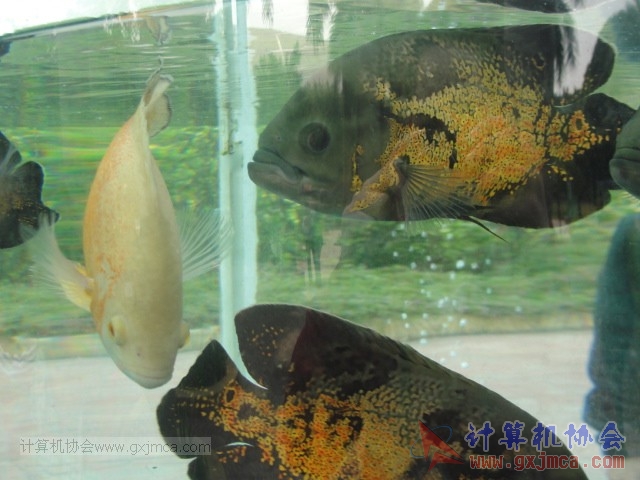 131208yw31.JPG
