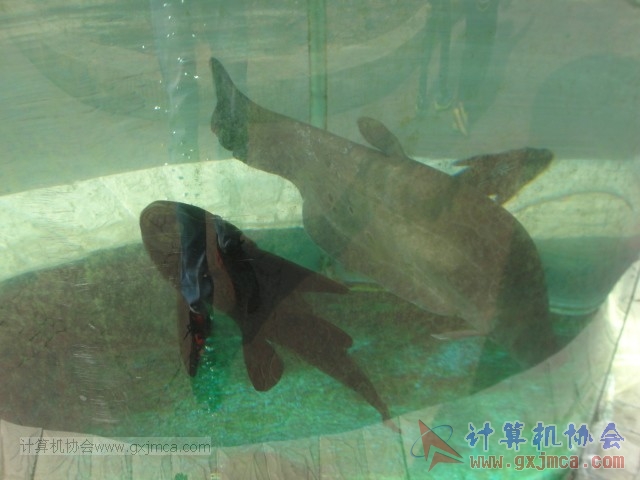 131208yw40.JPG