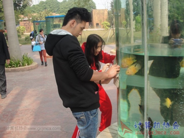 131208yw39.JPG