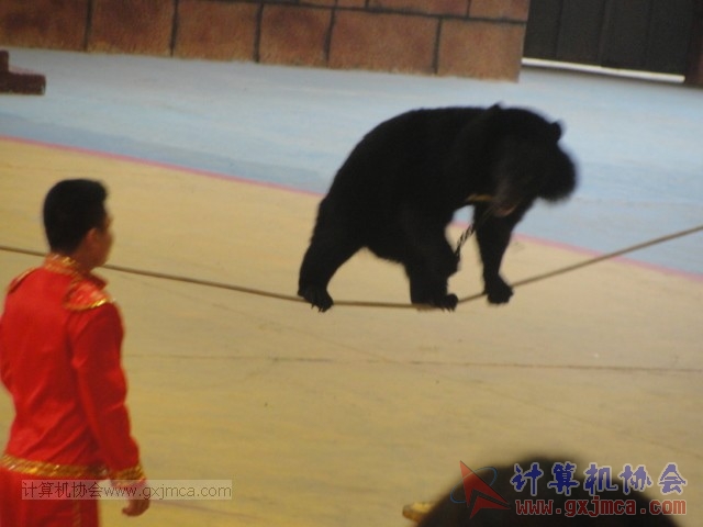 131208yw46.JPG