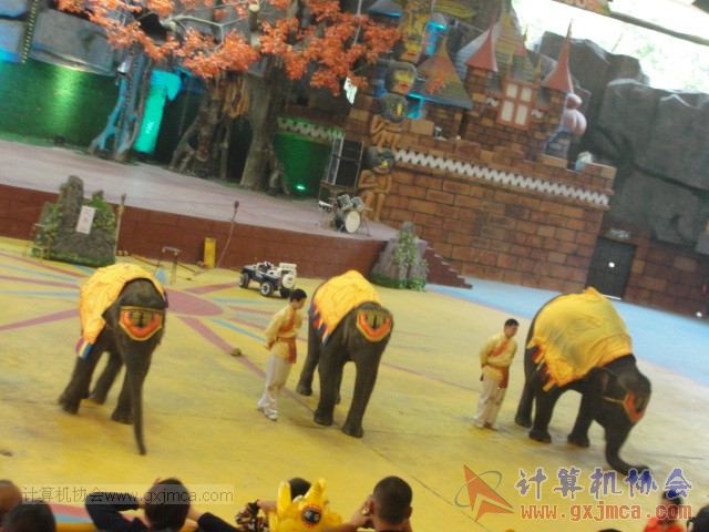 131208yw55.JPG