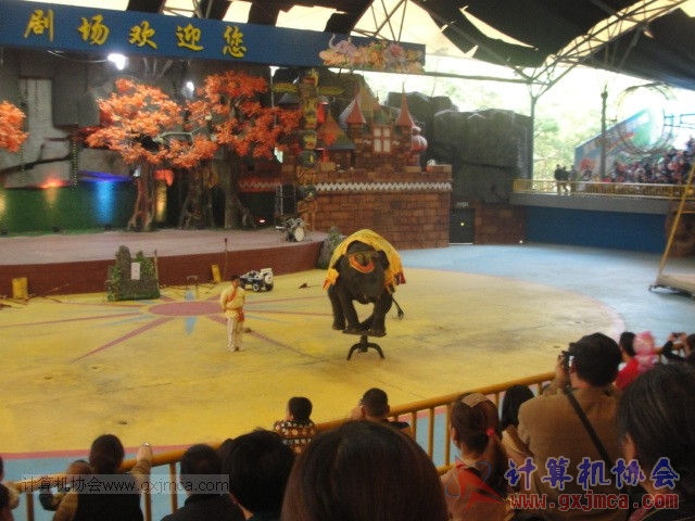 131208yw56.JPG