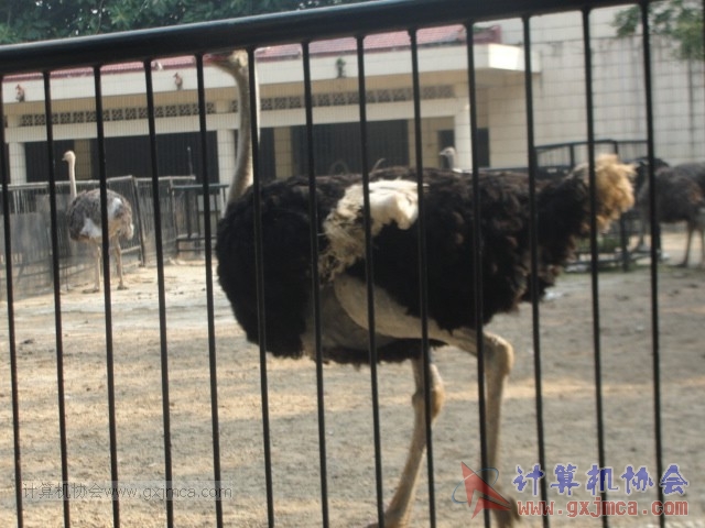 131208yw62.JPG
