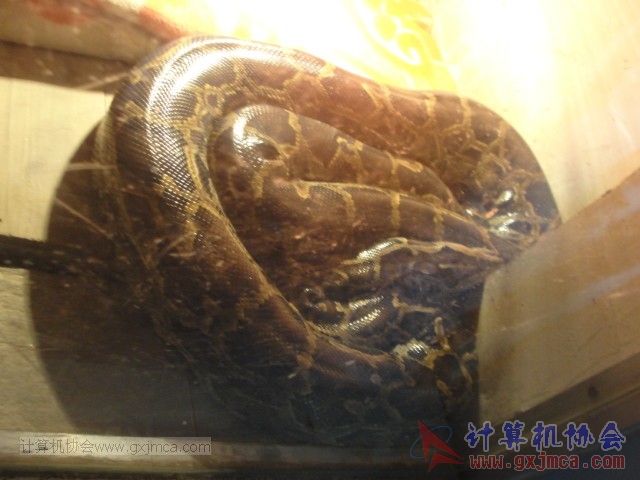 131208yw66.JPG