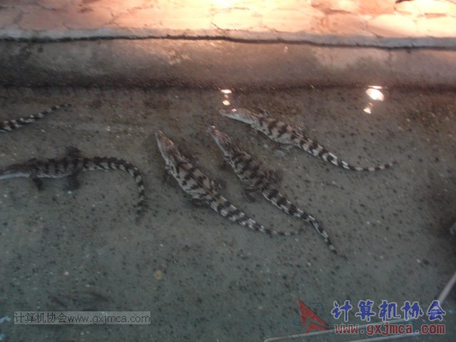 131208yw70.JPG