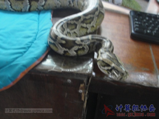 131208yw69.JPG