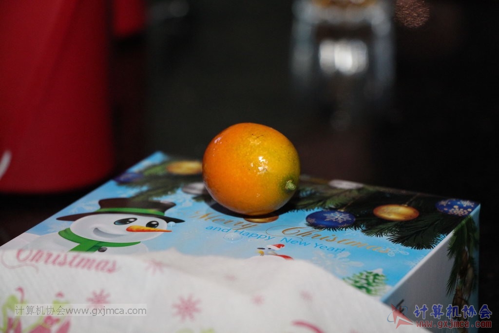 131228cak633.JPG