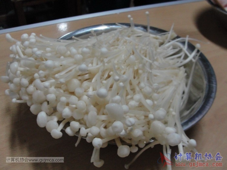 140104kg19.JPG