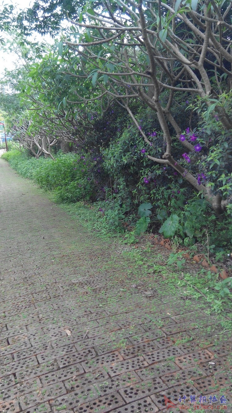 140426ca1884.jpg