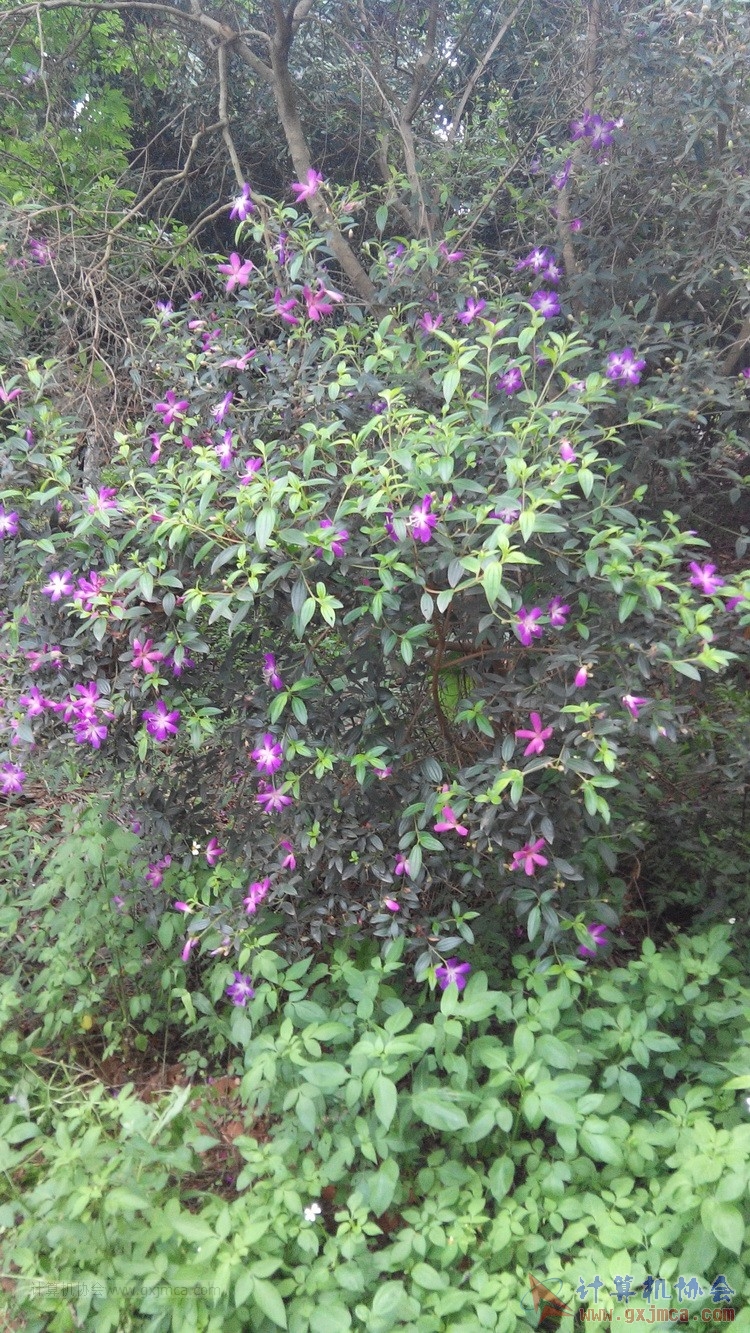 140426ca1879.jpg