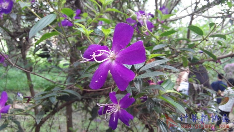 140426ca1870.jpg