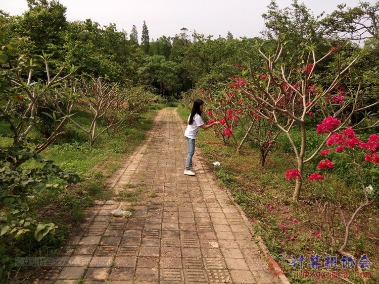 140426ca1845.jpg
