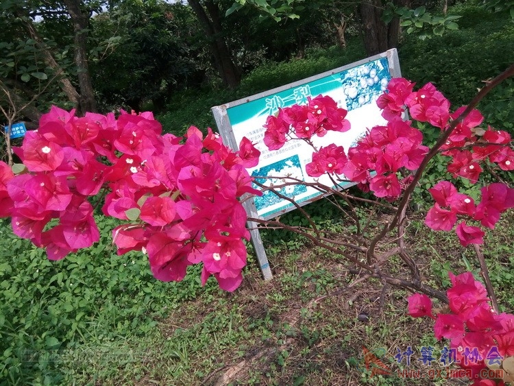 140426ca1841.jpg