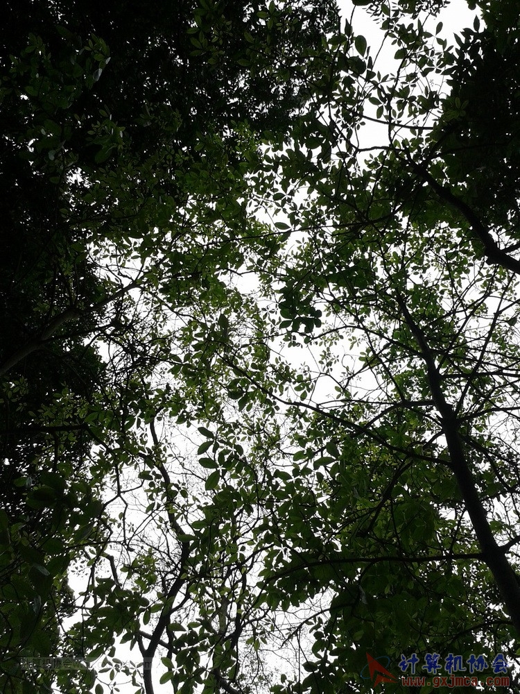 140426ca1731.jpg