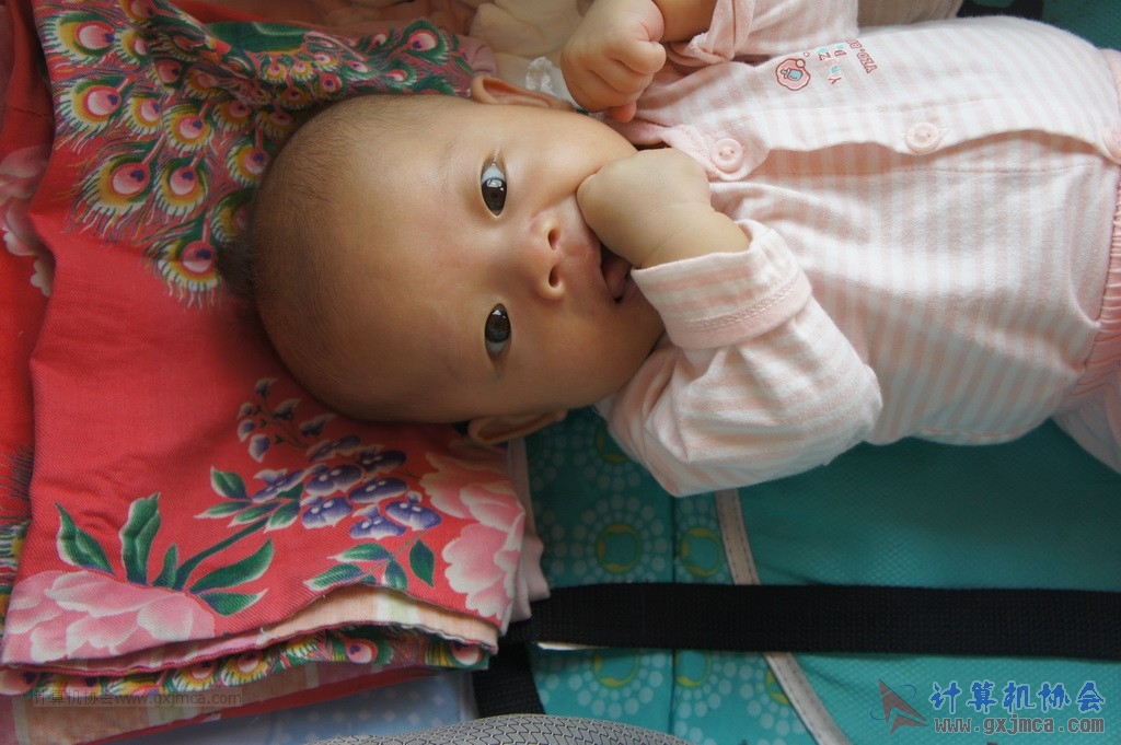 140601ca0126.JPG