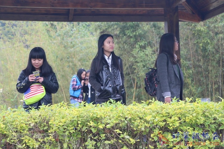 141206qxh134.JPG