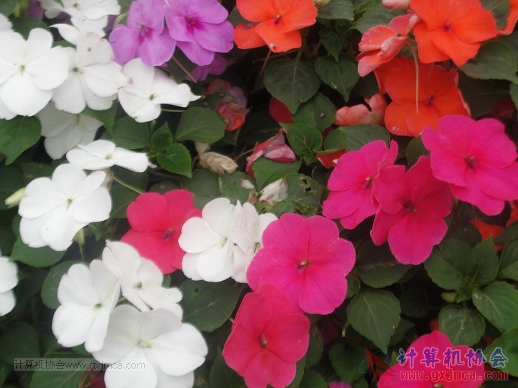 150329bwg003.JPG