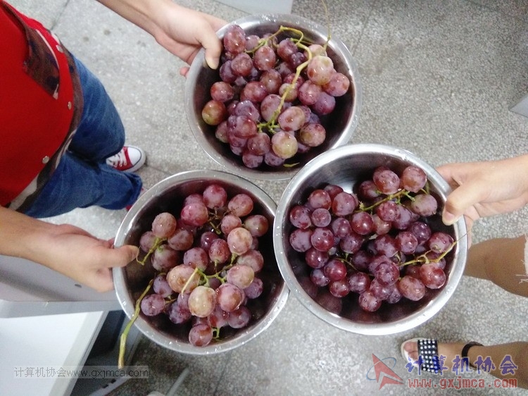 20150620xydw296.jpg
