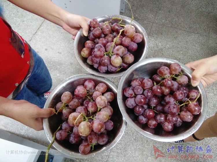 20150620xydw297.jpg