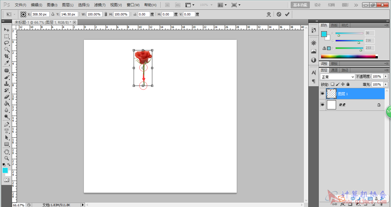花5（2）.png