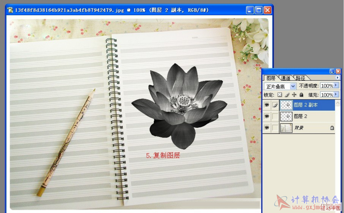 图片7.png