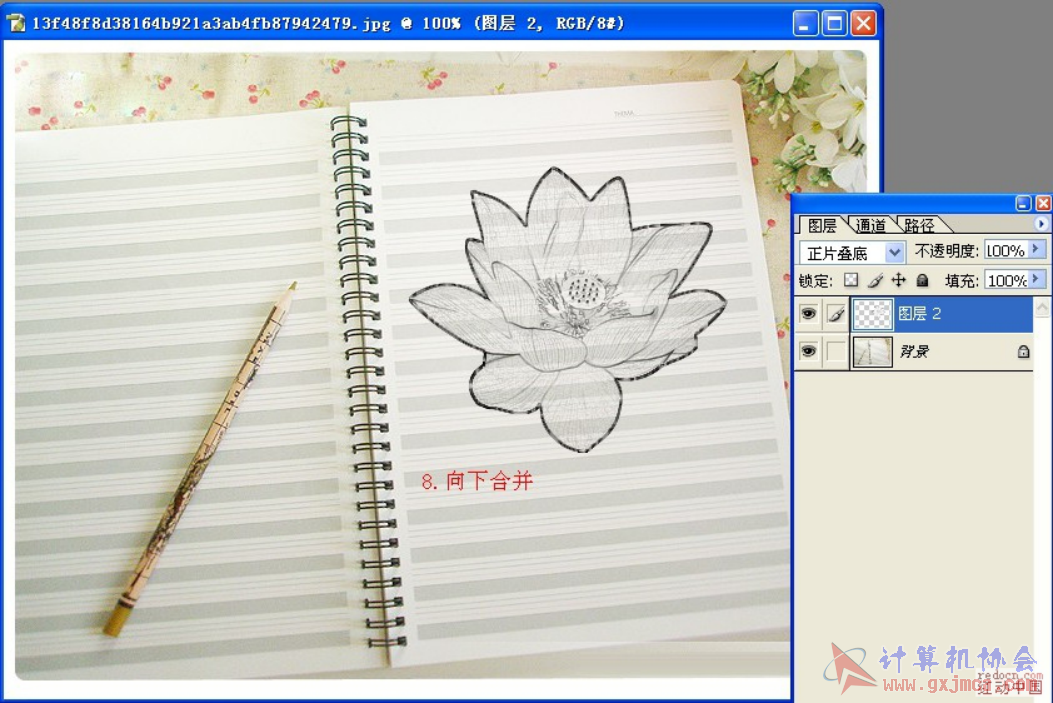 图片10.png